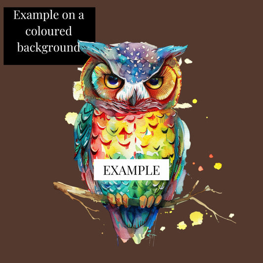 Colour Owl digital art
