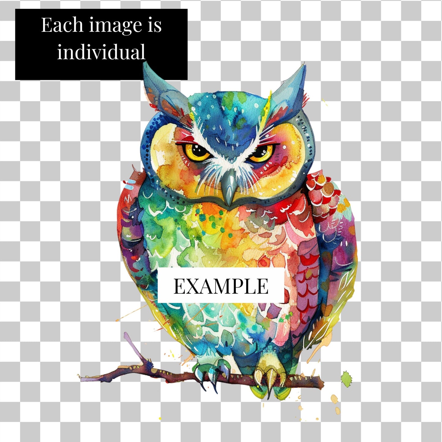 Colour Owl digital art
