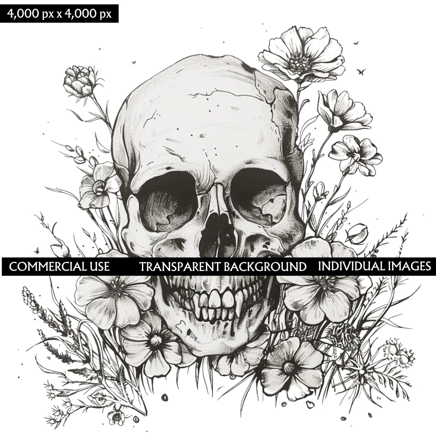 Skull with flowers monochrome PNG clipart