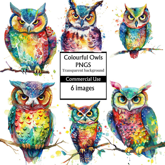 Colour Owl digital art