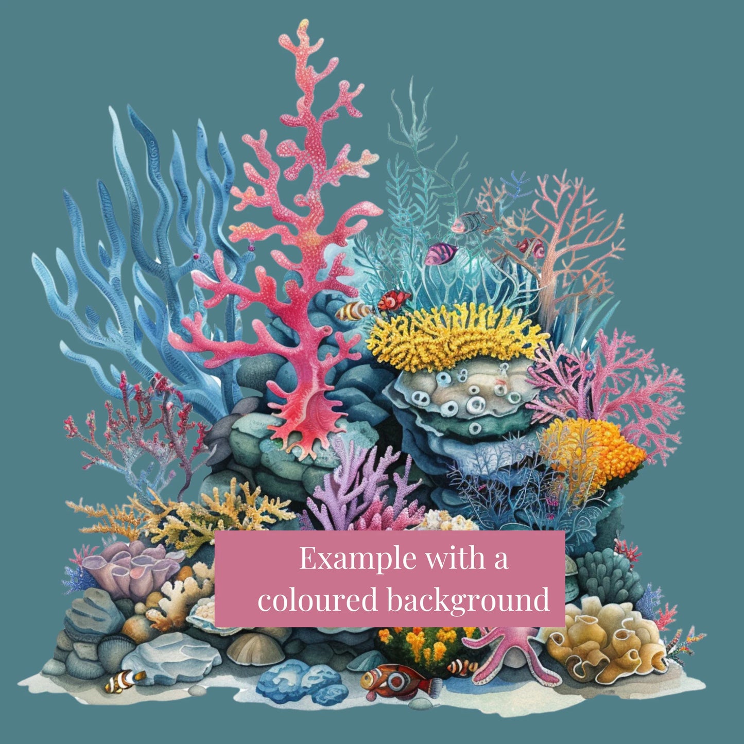 Merman bundle PNG Clipart
