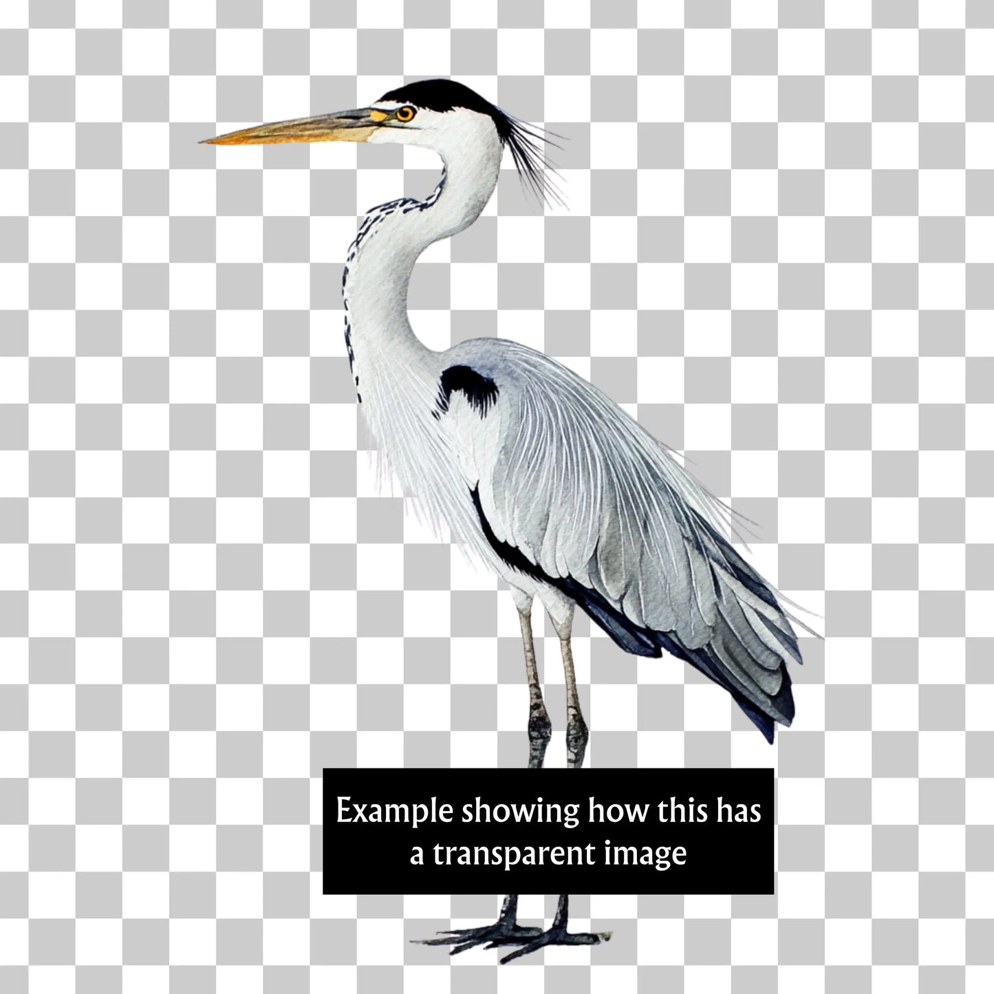 Heron clipart PNG