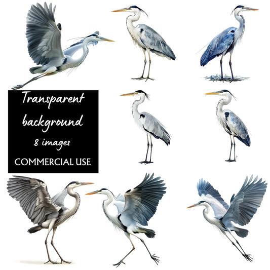Heron clipart PNG